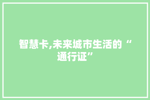 智慧卡,未来城市生活的“通行证”