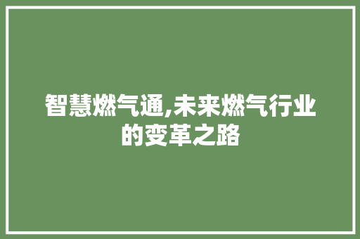 智慧燃气通,未来燃气行业的变革之路