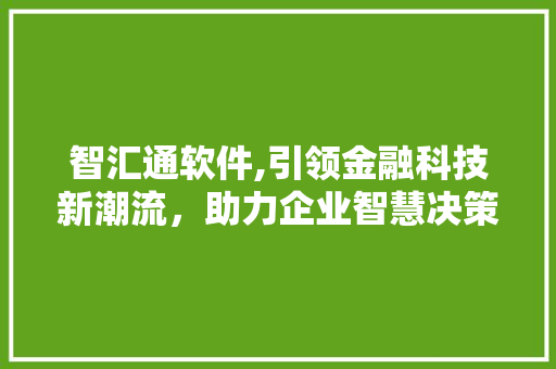 智汇通软件,引领金融科技新潮流，助力企业智慧决策