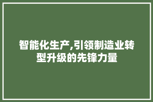 智能化生产,引领制造业转型升级的先锋力量