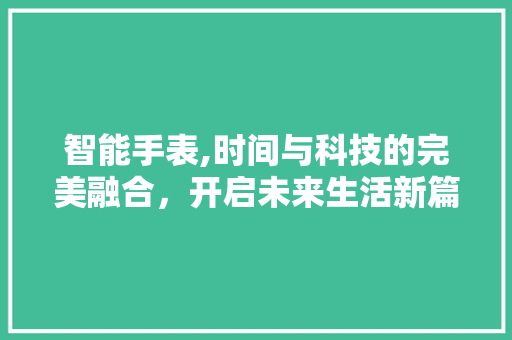 智能手表,时间与科技的完美融合，开启未来生活新篇章