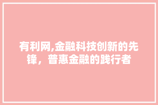 有利网,金融科技创新的先锋，普惠金融的践行者