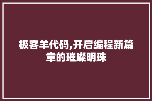 极客羊代码,开启编程新篇章的璀璨明珠