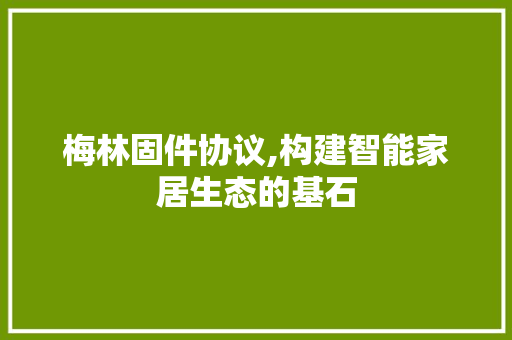 梅林固件协议,构建智能家居生态的基石