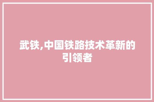 武铁,中国铁路技术革新的引领者