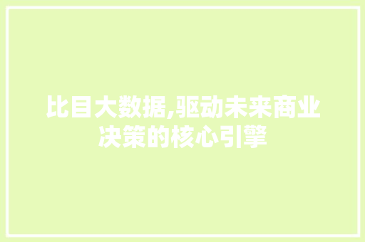 比目大数据,驱动未来商业决策的核心引擎