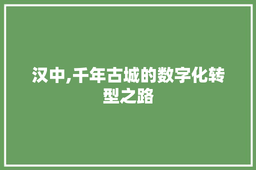 汉中,千年古城的数字化转型之路