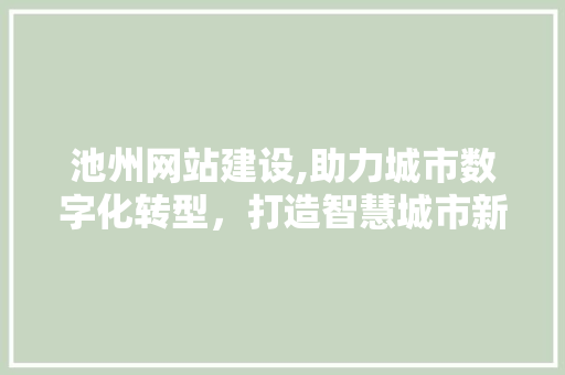 池州网站建设,助力城市数字化转型，打造智慧城市新名片