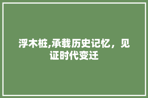 浮木桩,承载历史记忆，见证时代变迁