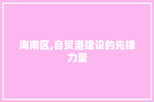 海南区,自贸港建设的先锋力量