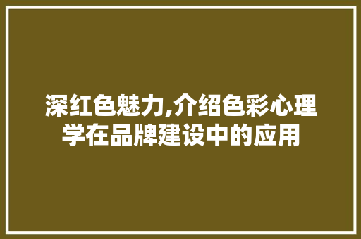 深红色魅力,介绍色彩心理学在品牌建设中的应用