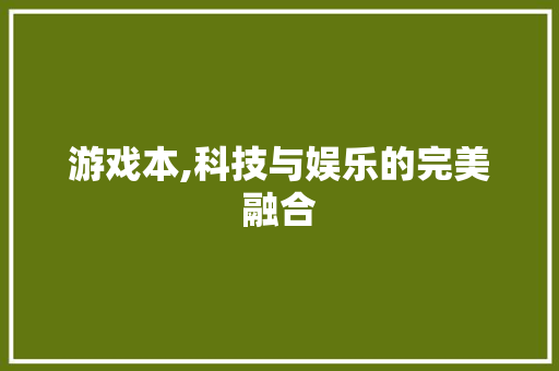 游戏本,科技与娱乐的完美融合