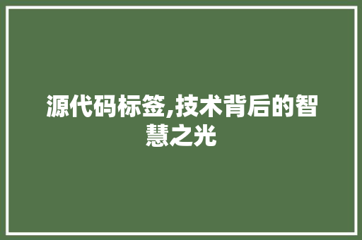 源代码标签,技术背后的智慧之光