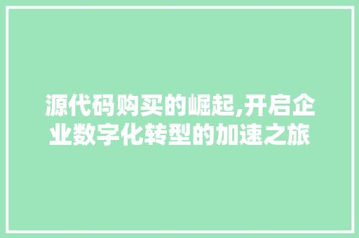源代码购买的崛起,开启企业数字化转型的加速之旅