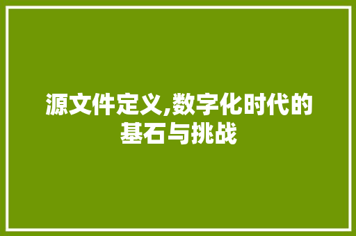 源文件定义,数字化时代的基石与挑战