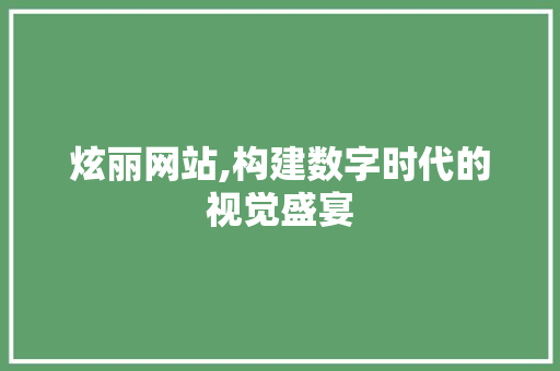炫丽网站,构建数字时代的视觉盛宴