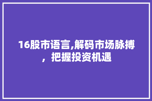 16股市语言,解码市场脉搏，把握投资机遇