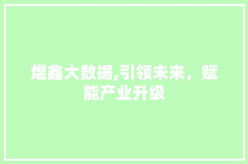 煜鑫大数据,引领未来，赋能产业升级