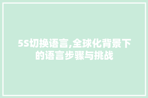 5S切换语言,全球化背景下的语言步骤与挑战