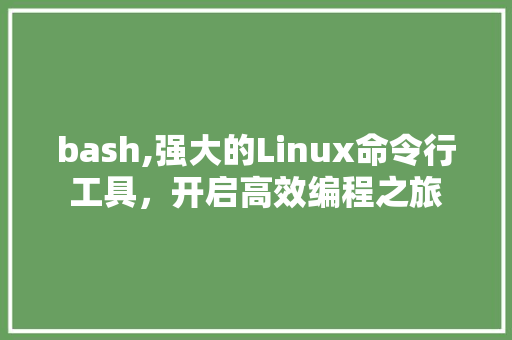 bash,强大的Linux命令行工具，开启高效编程之旅
