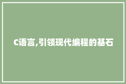 C语言,引领现代编程的基石