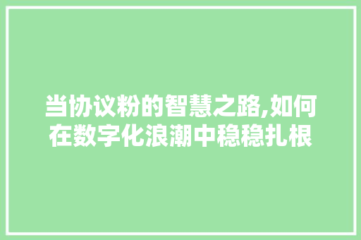 当协议粉的智慧之路,如何在数字化浪潮中稳稳扎根