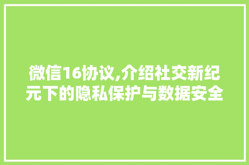 微信16协议,介绍社交新纪元下的隐私保护与数据安全