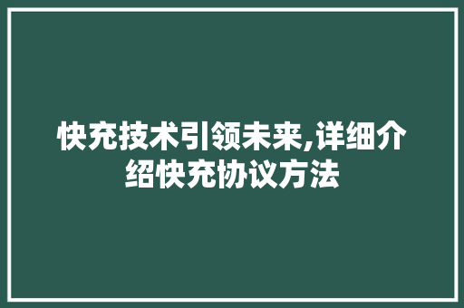 快充技术引领未来,详细介绍快充协议方法