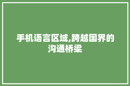 手机语言区域,跨越国界的沟通桥梁