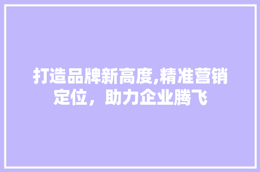打造品牌新高度,精准营销定位，助力企业腾飞