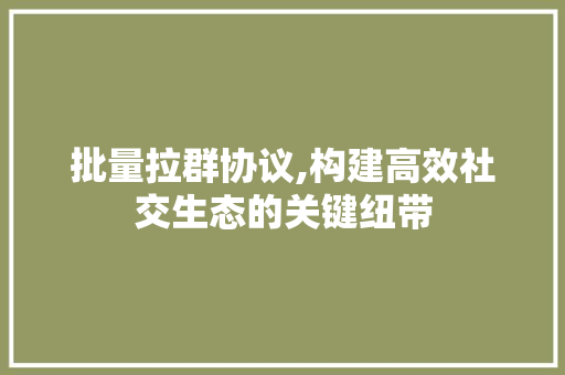 批量拉群协议,构建高效社交生态的关键纽带