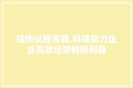 挂协议服务器,科技助力企业高效运营的新利器