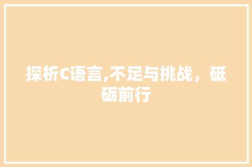 探析C语言,不足与挑战，砥砺前行