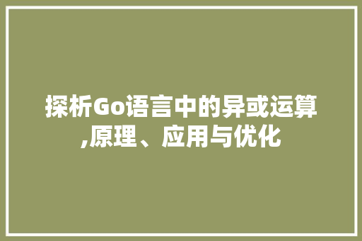 探析Go语言中的异或运算,原理、应用与优化