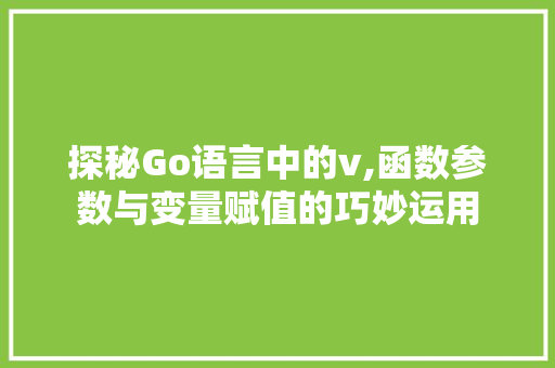 探秘Go语言中的v,函数参数与变量赋值的巧妙运用
