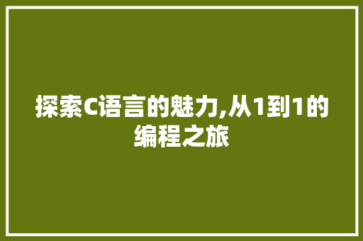 探索C语言的魅力,从1到1的编程之旅