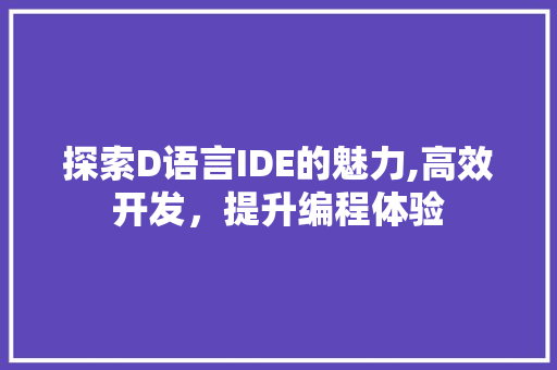 探索D语言IDE的魅力,高效开发，提升编程体验