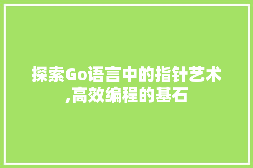 探索Go语言中的指针艺术,高效编程的基石