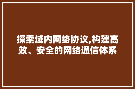 探索域内网络协议,构建高效、安全的网络通信体系