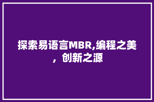 探索易语言MBR,编程之美，创新之源