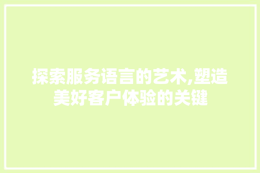 探索服务语言的艺术,塑造美好客户体验的关键