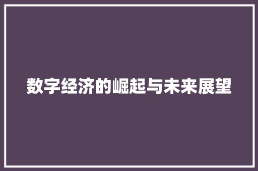 数字经济的崛起与未来展望