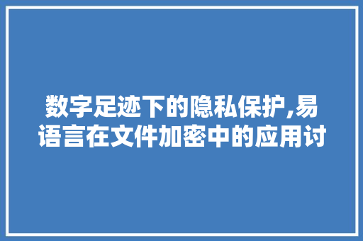数字足迹下的隐私保护,易语言在文件加密中的应用讨论