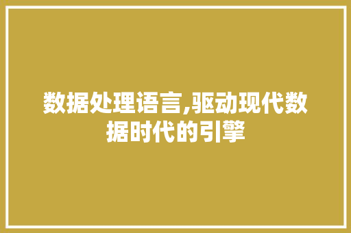 数据处理语言,驱动现代数据时代的引擎