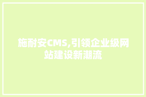 施耐安CMS,引领企业级网站建设新潮流