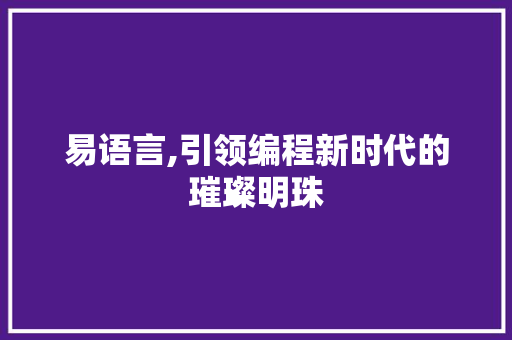 易语言,引领编程新时代的璀璨明珠