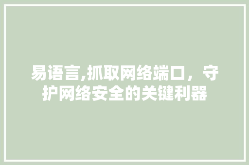 易语言,抓取网络端口，守护网络安全的关键利器