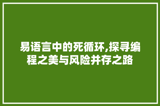 易语言中的死循环,探寻编程之美与风险并存之路