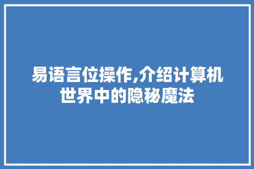 易语言位操作,介绍计算机世界中的隐秘魔法