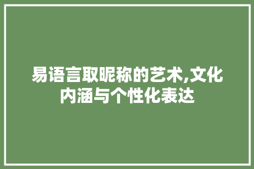 易语言取昵称的艺术,文化内涵与个性化表达